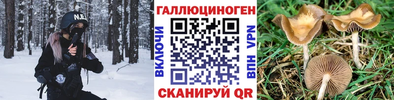 Галлюциногенные грибы мицелий  хочу наркоту  Бавлы 